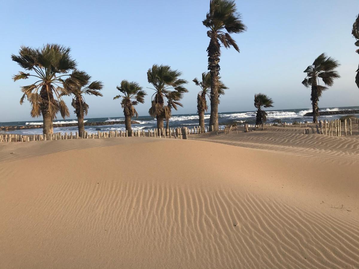 Apartment Newly Renovated Aircond-Wifi-Pool-Sea View-150M To Beaches- Saint Aygulf Zewnętrze zdjęcie